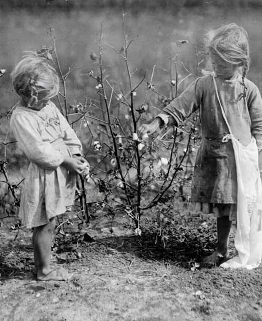 Millie and Nellie: The Hidden Struggles of Child Labor in the Early 20th Century