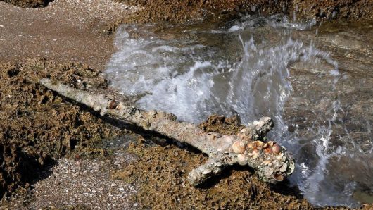 A 900-Year-Old Crusader Sword Discovered off the Coast of Carmel, Israel